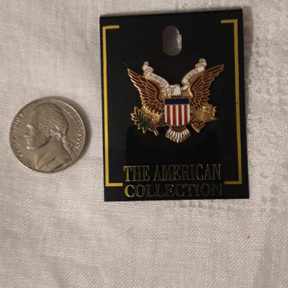 USA Eagle pin